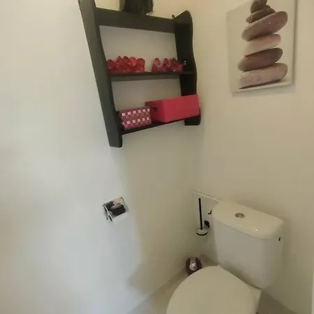 Nid Douillet Climatisee Avec Terrasse Et Velos *