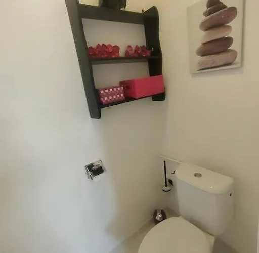 Nid Douillet Climatisee Avec Terrasse Et Velos *